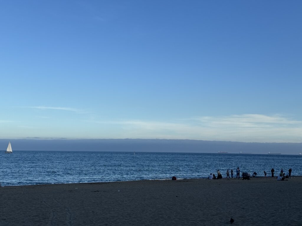 The iconic Barceloneta Beach invites relaxation and seaside fun, with palm trees swaying in the gentle breeze against a backdrop of vibrant cityscape.